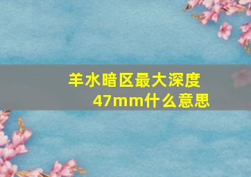 羊水暗区最大深度47mm什么意思