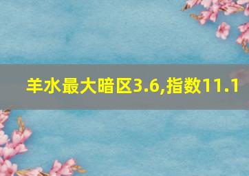 羊水最大暗区3.6,指数11.1