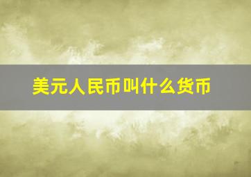 美元人民币叫什么货币