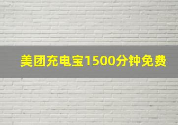 美团充电宝1500分钟免费