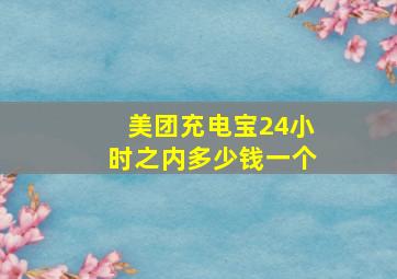 美团充电宝24小时之内多少钱一个