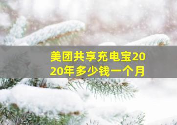 美团共享充电宝2020年多少钱一个月