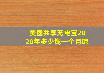 美团共享充电宝2020年多少钱一个月呢