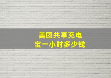 美团共享充电宝一小时多少钱