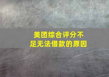 美团综合评分不足无法借款的原因