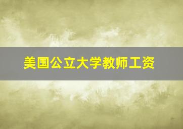 美国公立大学教师工资