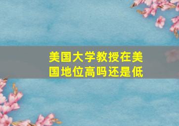 美国大学教授在美国地位高吗还是低