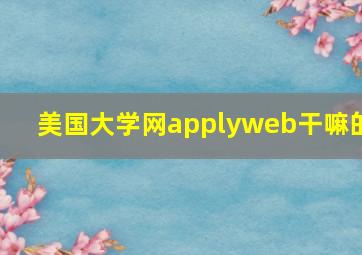 美国大学网applyweb干嘛的