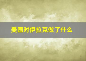 美国对伊拉克做了什么