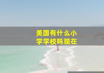 美国有什么小学学校吗现在