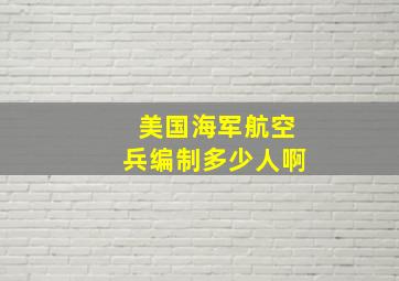 美国海军航空兵编制多少人啊