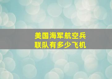 美国海军航空兵联队有多少飞机