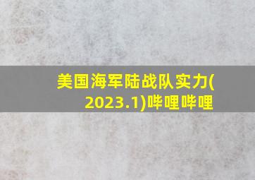 美国海军陆战队实力(2023.1)哔哩哔哩