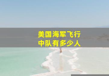 美国海军飞行中队有多少人