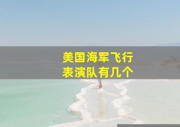 美国海军飞行表演队有几个