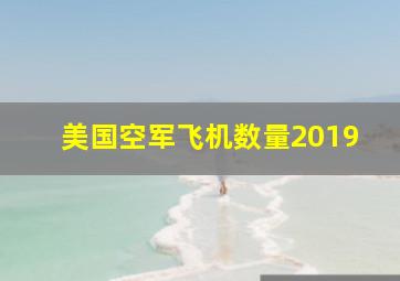 美国空军飞机数量2019