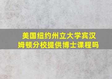 美国纽约州立大学宾汉姆顿分校提供博士课程吗