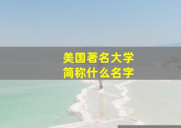 美国著名大学简称什么名字