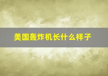 美国轰炸机长什么样子