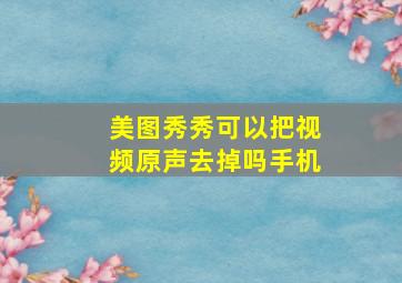 美图秀秀可以把视频原声去掉吗手机