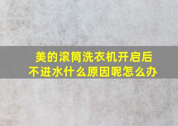 美的滚筒洗衣机开启后不进水什么原因呢怎么办