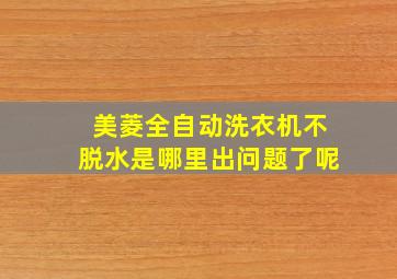 美菱全自动洗衣机不脱水是哪里出问题了呢