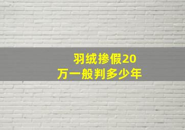 羽绒掺假20万一般判多少年