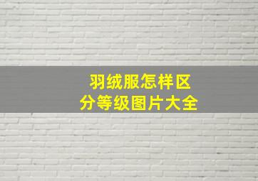 羽绒服怎样区分等级图片大全