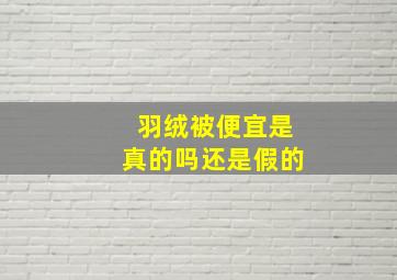 羽绒被便宜是真的吗还是假的