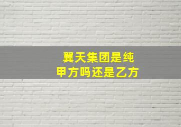 翼天集团是纯甲方吗还是乙方