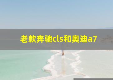 老款奔驰cls和奥迪a7