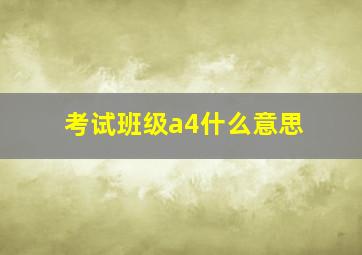 考试班级a4什么意思