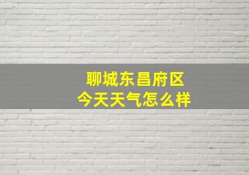 聊城东昌府区今天天气怎么样