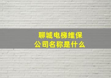 聊城电梯维保公司名称是什么