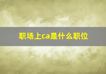 职场上ca是什么职位