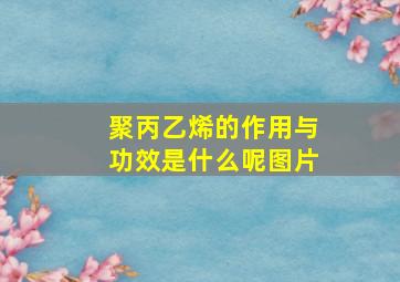 聚丙乙烯的作用与功效是什么呢图片