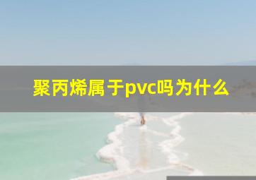 聚丙烯属于pvc吗为什么