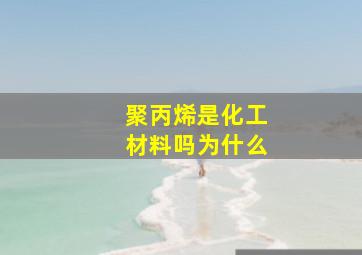 聚丙烯是化工材料吗为什么