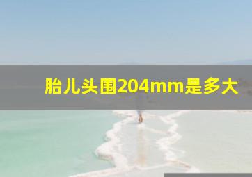 胎儿头围204mm是多大