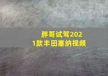 胖哥试驾2021款丰田塞纳视频