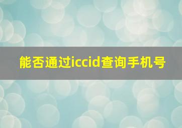 能否通过iccid查询手机号