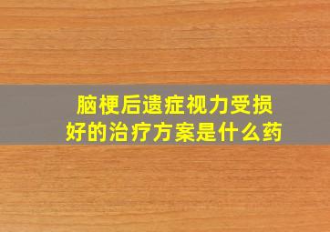 脑梗后遗症视力受损好的治疗方案是什么药