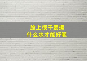 脸上很干要擦什么水才能好呢