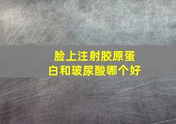 脸上注射胶原蛋白和玻尿酸哪个好