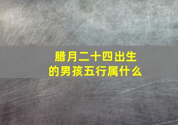 腊月二十四出生的男孩五行属什么