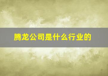 腾龙公司是什么行业的