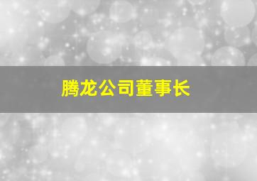 腾龙公司董事长