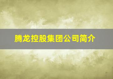 腾龙控股集团公司简介