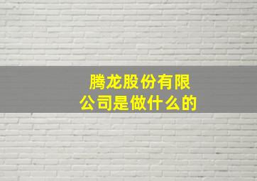 腾龙股份有限公司是做什么的