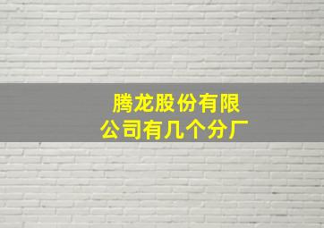 腾龙股份有限公司有几个分厂